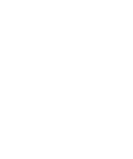 team cherry